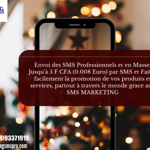 Envoi des SMS Professionnels et en Masse, Jusqu'à 5 F CFA (0.008 Euro) par SMS et Faites facilement la promotion de vos produits et services, partout à travers le monde grace aux SMS MARKETING