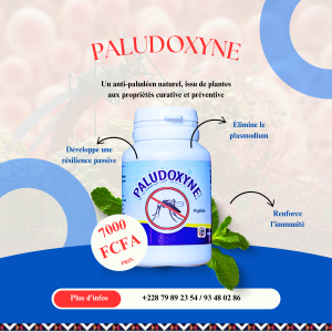 PALUDOXYNE PUISSANT ANTIPALUDIQUE NATUREL
