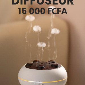 Diffuseur d arômes