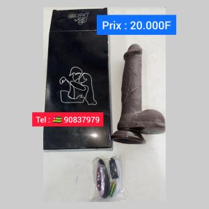 Penis artificiel vibrant (sextoy)