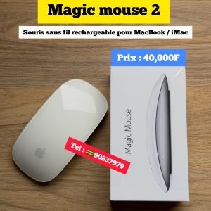 Magic mouse 2